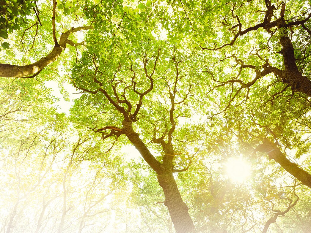 サスティナビリティ サスティナビリティ